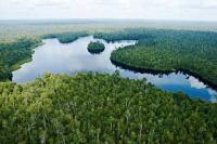 Upaya Pemerintah Melindungi Taman Nasional Zamrud